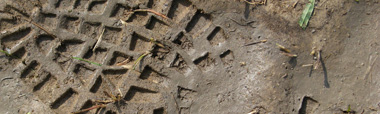 Reduce Carbon Footprint